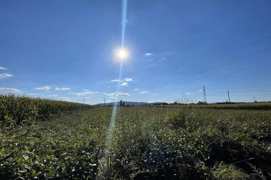 TOLLE GELEGENHEIT! Gewerbegrundstück für SIE - GEWERBEGRUNDSTÜCK 0,3 - 2,0 Dichte mit direkter Nähe zur Autobahn und zur Eisenbahn!, Grund und Boden-kauf, 399.000,€, 8430 Leibnitz