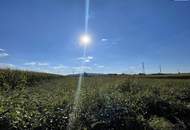 TOLLE GELEGENHEIT! Gewerbegrundstück für SIE - GEWERBEGRUNDSTÜCK 0,3 - 2,0 Dichte mit direkter Nähe zur Autobahn und zur Eisenbahn!