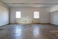 GIGANTISCH gesucht? HIER RICHTIG