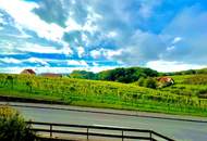 2-Zimmer Wohnung mit traumhaften Panoramablick inmitten der Weinberge von Klöch - Erstbezug!