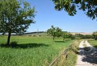 Landwirtschaft in Kirnberg– ca. 16 ha Grund