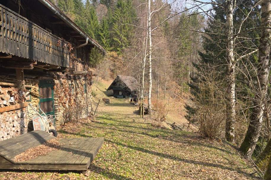 Zwei sanierungsbedürftige Häuser in absoluter Ruhe/Alleinlage, Haus-kauf, 299.000,€, 8541 Deutschlandsberg