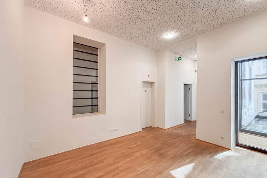 Repräsentatives Büro im prachtvollen Palais Schwab, Gewerbeobjekt-miete, 5.801,55,€, 1010 Wien 1., Innere Stadt