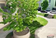 Charmante 2-Zimmerwohnung mit Balkon