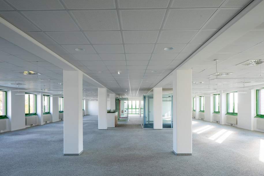 Büro, Gewerbeobjekt-miete, 8.462,05,€, 1220 Wien 22., Donaustadt