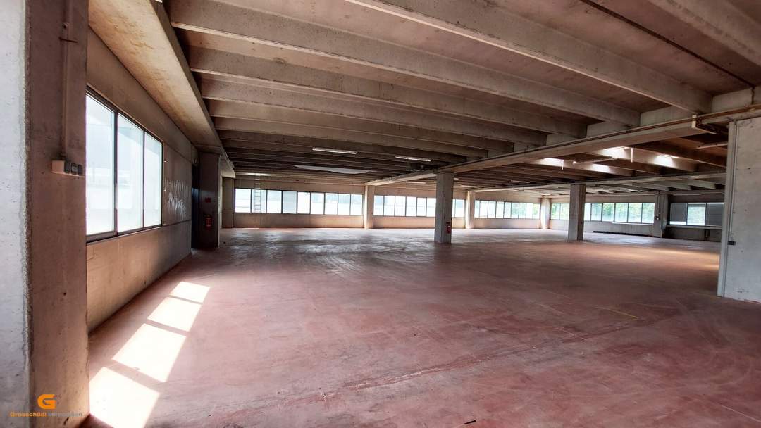 Lagerhalle mit Bürooption in verkehrsgünstiger Lage in Salzburg mieten