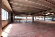 Lagerhalle mit Bürooption in verkehrsgünstiger Lage in Salzburg mieten