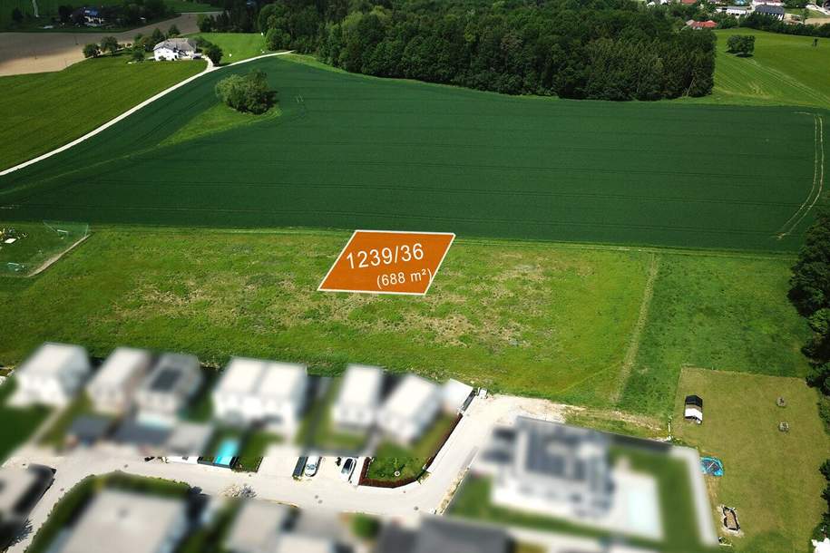 Baugrundstücke in Katsdorf / Ruhstetten – sonnige Lage, ideal für 1–3 Wohneinheiten je Parzelle, Grund und Boden-kauf, 172.000,€, 4223 Perg