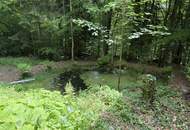 Außergewöhnliches Landhaus mitten im Böhmerwald mit 2,4ha Grund