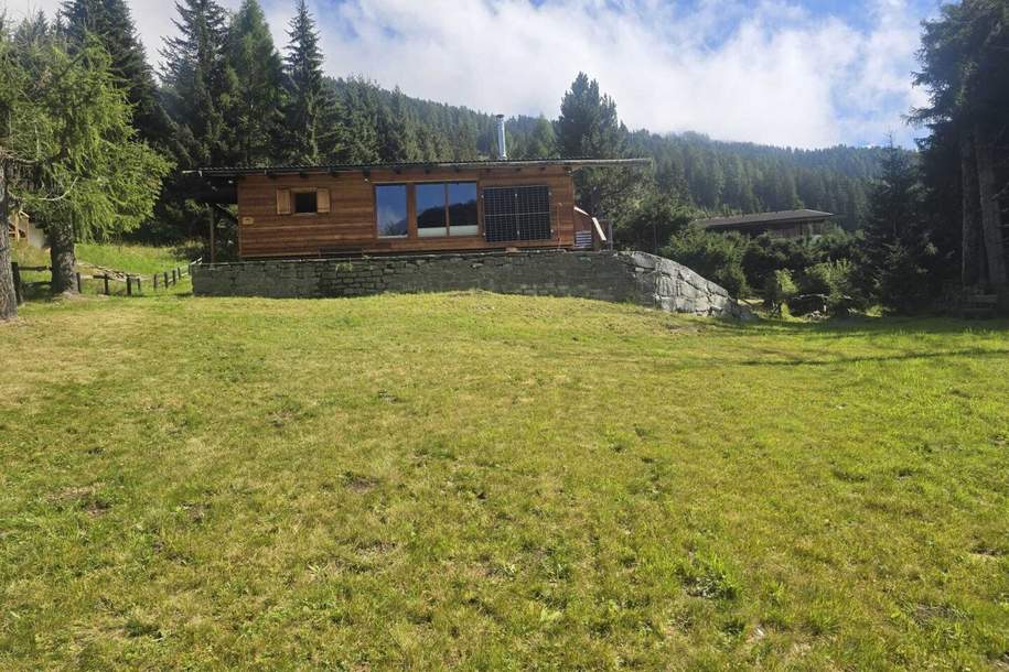 Chalet im Biosphärenpark Nockberge mit fantastischer Aussichtslage, Haus-kauf, 550.000,€, 9862 Spittal an der Drau