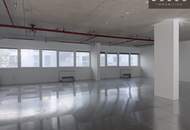 SIRIUS working – Ihr Unternehmen. Ihre Möglichkeiten. Ihr Büro mit Seeblick.