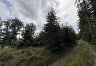 Ca. 9 ha Waldfläche zwischen Gurten und Eitzing - überwiegend Nadelholz