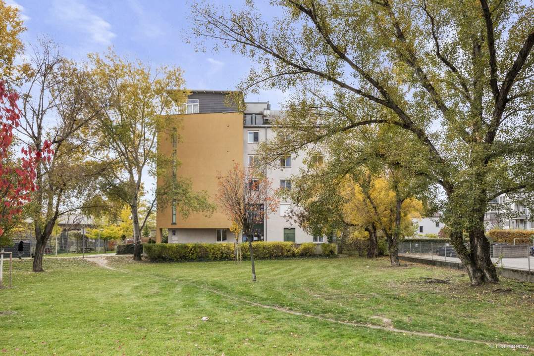 3 Zimmer-Loggia-Wohnung im 3. Liftstock