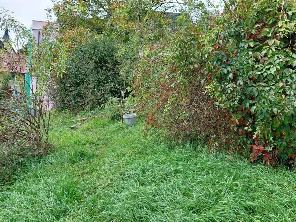 Genug Platz für Ihr Traumhaus!