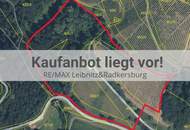 Scheibengrundstück mit Altbestand in Kranach, Gemeinde Gamlitz