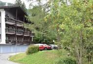 Kleine Wohnung im Grünen in Bad Kleinkirchheim
