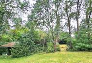 Bauträger oder Privatperson: Traumhaftes Grundstück mit Altbaumbestand in ruhiger Lage - teilbar