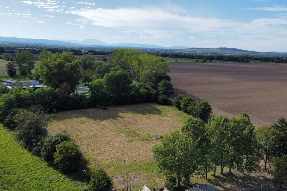 Einmalige Gelegenheit: Großzügiges Baulandgrundstück umgeben von Äckern mit Weitblick. Ideal für den Bau eines Traumhauses in ruhiger, naturnaher Lage, Grund und Boden-kauf, 299.000,€, 7011 Eisenstadt-Umgebung