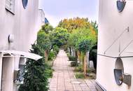 GRÜN-RUHIG-DA WILL ICH WOHNEN-Wunderschöne Doppelhaushälfte mit Garten und Dachterrasse