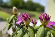 ****Alleinlage**** Einzigartige Liegenschaft mit 6,3 ha Eigengrund