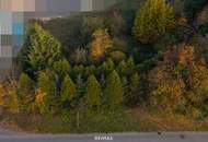 Vom Traum zum Zuhause – 821 m² Lebensfreude in Steinhaus - Grundstück mit vielen Möglichkeiten