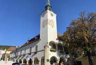 Charmantes Winzerhaus mit großem Weinkeller in bester Lage - Gumpoldskirchen