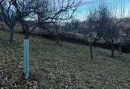 Baugrund - Sonnenlage - Aussichtslage - Hanglage am Ring in Hartberg
