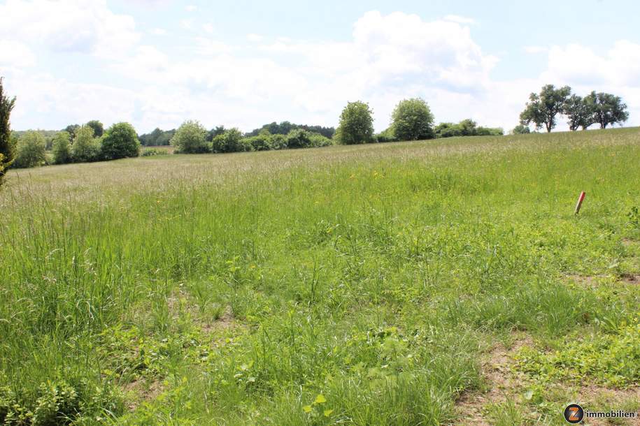 Jormannsdorf: Traumhaftes Baugrundstück mit toller Aussicht, Grund und Boden-kauf, 139.000,€, 7431 Oberwart