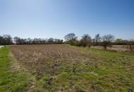 Landwirtschaftliche Flächen zu verkaufen