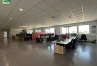 Hochwertige Gewerbefläche mit 15 Parkplätzen in 2326 Maria Lanzendorf – Industriestraße: ab sofort verfügbar!