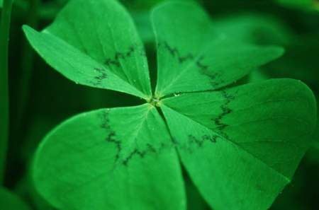 Gelegenheit in Fürstenfeld