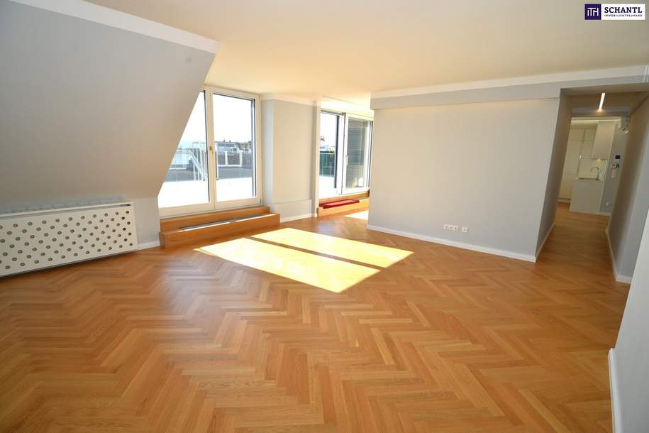 Mein Penthouse zum verlieben mit 52 m2 Panorama Terrasse und privatem Liftzugang! Provisionsfrei!, Wohnung-kauf, 1.230.000,€, 1040 Wien 4., Wieden