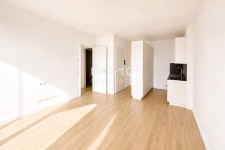 44. Etage - jeden Tag Sonnenuntergang inkl. 14m2 Loggia - DC2 Tower, Wohnung-miete, 1.850,00,€, 1220 Wien 22., Donaustadt