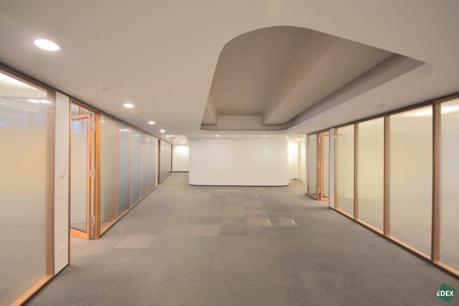 Modernes, hochwertiges Büro in 1010, Gewerbeobjekt-miete, 17.995,05,€, 1010 Wien 1., Innere Stadt