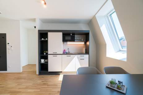 charmante DG-Wohnunge im hippen Stuwerviertel, Wohnung-kauf, 322.000,€, 1020 Wien 2., Leopoldstadt