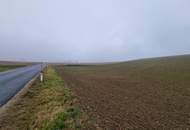 TOLLE ACKERFLÄCHE IN SÜDSEITIGER AUSRICHTUNG MIT GUTER BONITÄT IN GROßMUGL