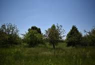 Viel Natur und kein Bauzwang