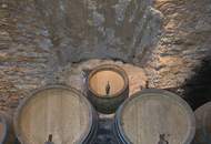 Haus mit traumhafte Anlage und Natur - ca. 1,7 Hektar Grund - Nähe Stubenbergsee.