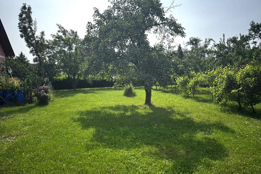 Schönes Baugrundstück, Grund und Boden-kauf, 134.900,€, 2630 Neunkirchen