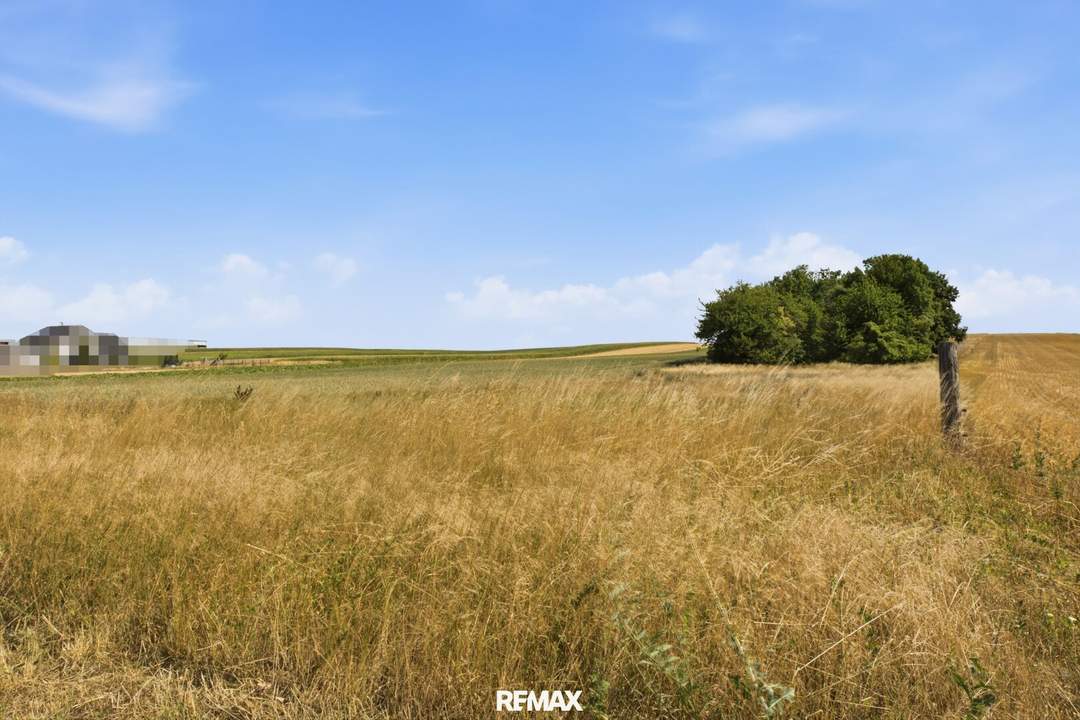 Wald- und landwirtschaftliche Fläche mit 20 370 m² in Untermallebern zu verkaufen!