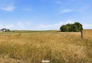 Wald- und landwirtschaftliche Fläche mit 20 370 m² in Untermallebern zu verkaufen!