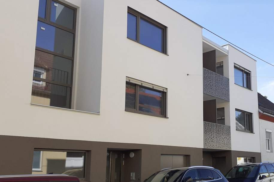 Erstbezug - Studio mit grossem Balkon in Energiesparhaus, Wohnung-miete, 770,48,€, 1230 Wien 23., Liesing