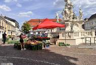 Top ausgestattetes Büro mit viel Platz, nahe dem Mödlinger Stadtzentrum