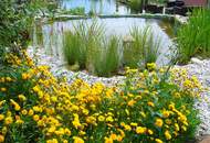 BIETERVERFAHREN-OPEN HOUSE AM 23.01.2026 gegen Voranmeldung: 1.974 M² GRUNDSTÜCK MIT ALTBESTAND &amp; ERTRAGSPOTENZIAL!