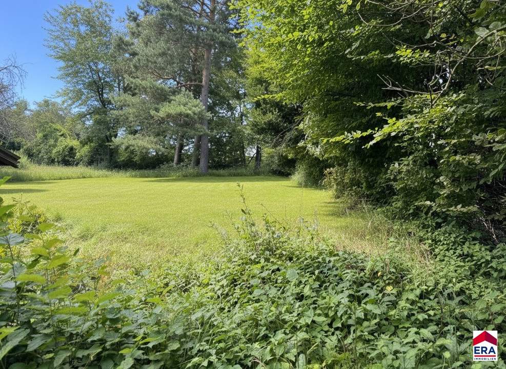 Großzügiges Baugrundstück 1527m² in 3413 Kirchbach – Ihr Traum vom Eigenheim!