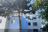 Kleine, feine Wohnung in der Neustadt