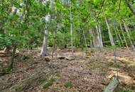Ruhiges Baugrundstück mitten in der Natur mit eigenem Wald