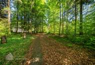Exklusives Badeparadies am Wörthersee: Ihr privates Refugium mit Seezugang und Waldidylle