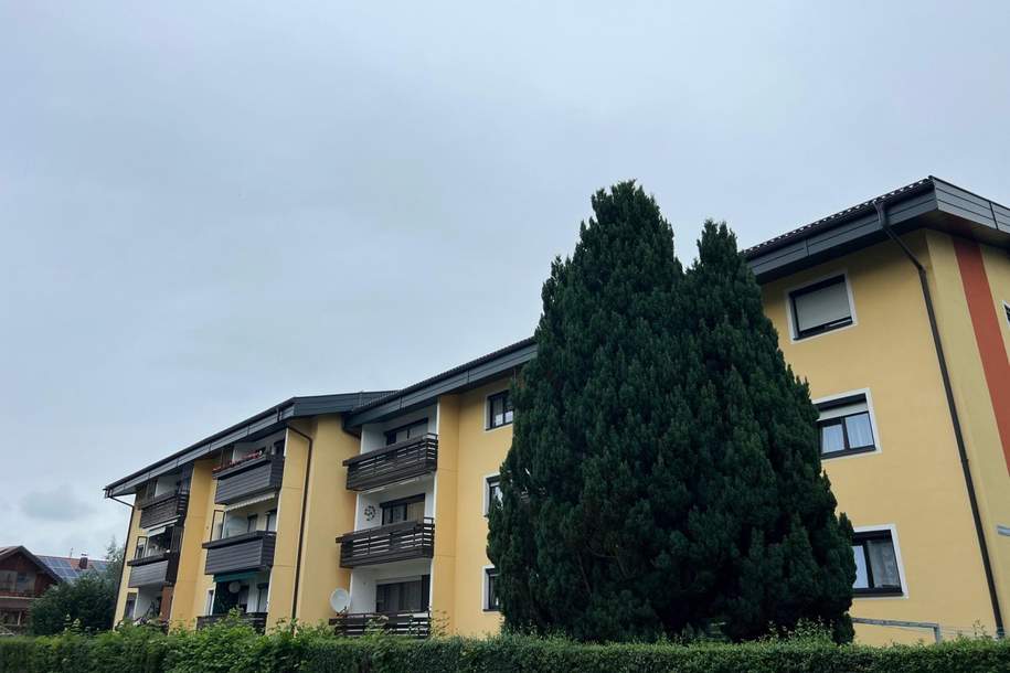 Ältere Wohnung in guter Lage, Wohnung-kauf, 289.000,€, 5204 Salzburg-Umgebung