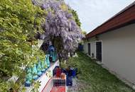 Wohnen über den Dächern von Eisenstadt – Villa mit spektakulärem Fernblick | ZELLMANN IMMOBILIEN